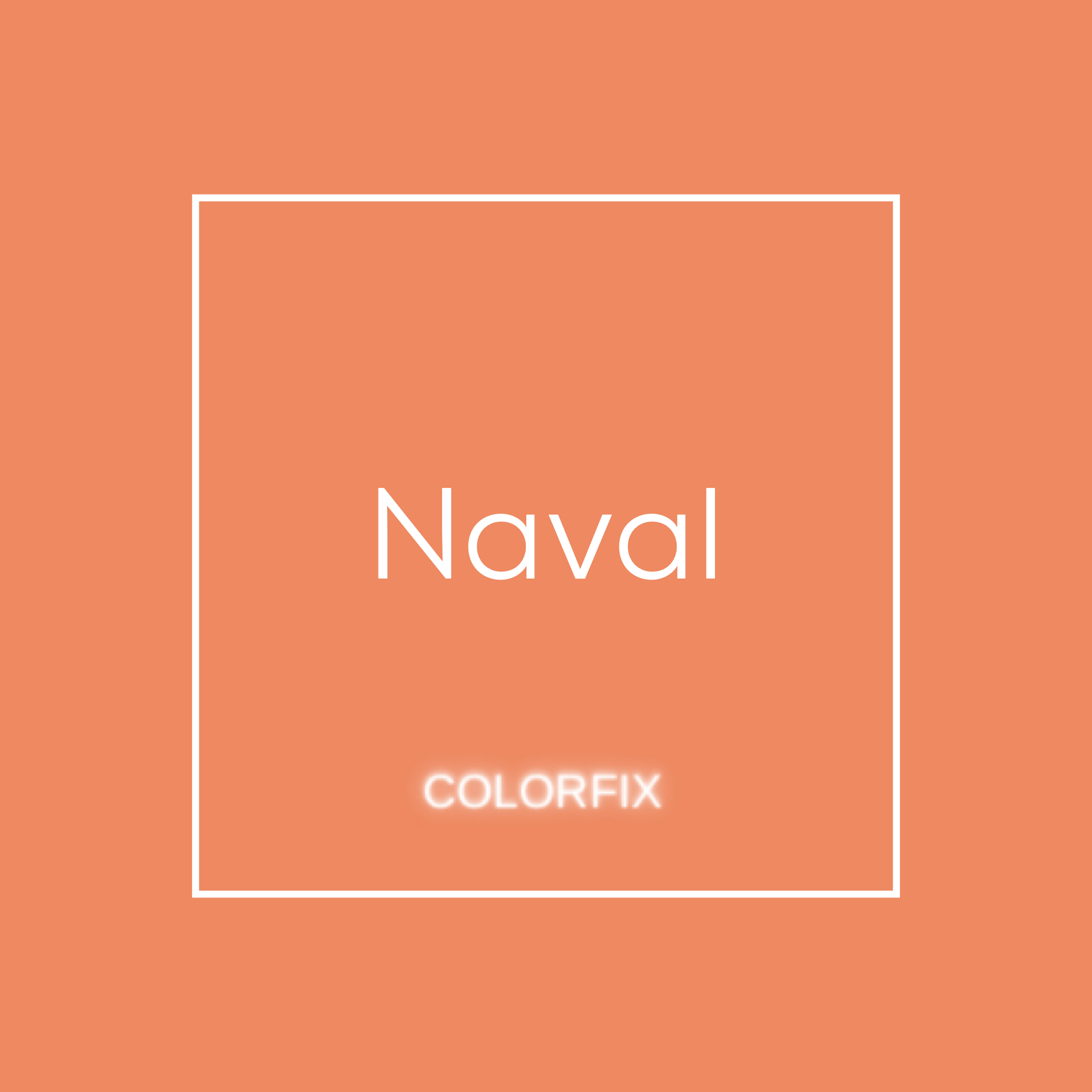 Naval ColorFix Paint - 4oz