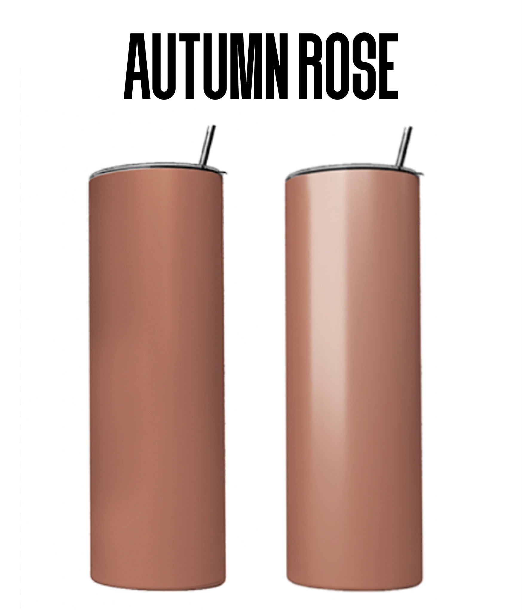 Autumn Rose ColorFix Paint - 4oz