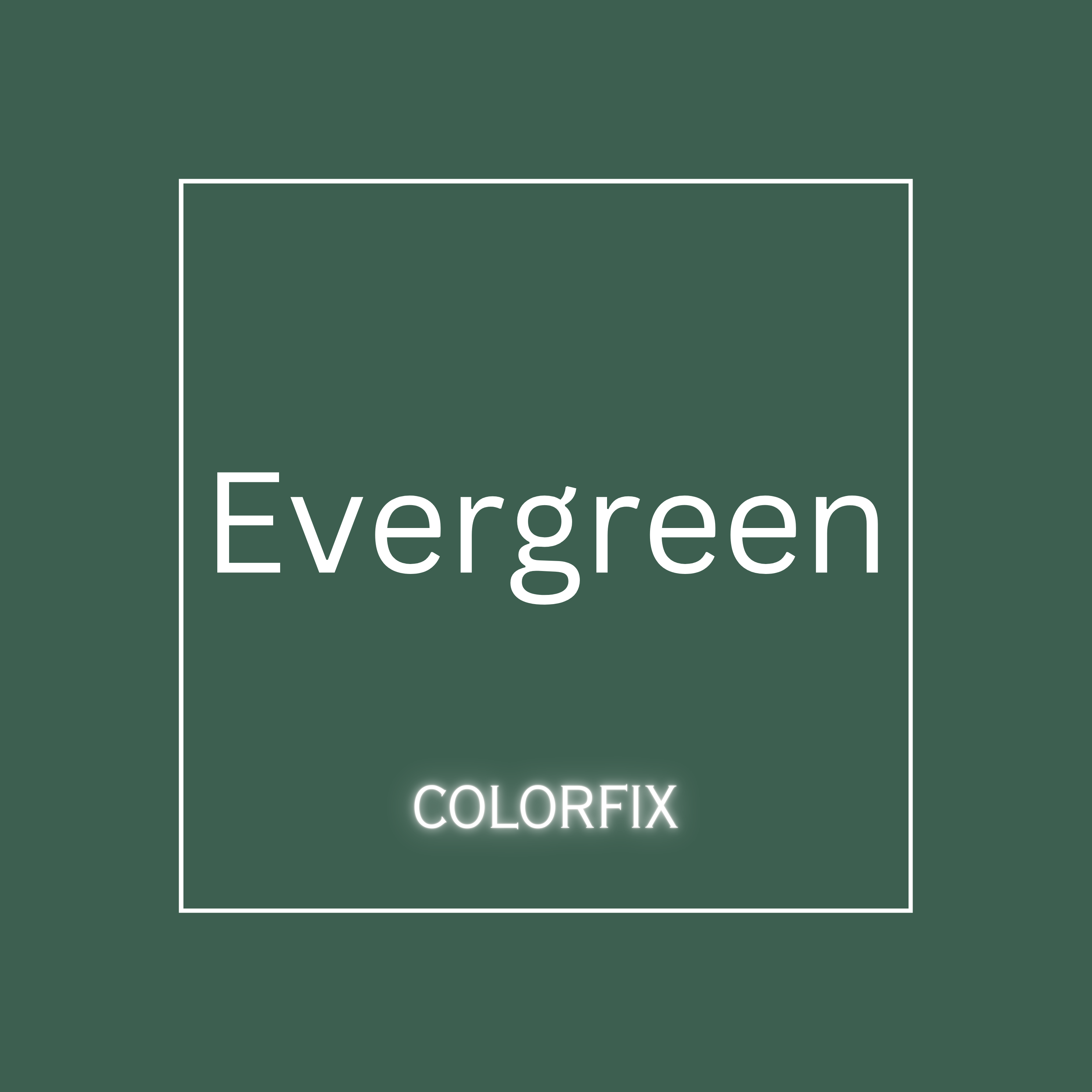 *NEW* Evergreen ColorFix Paint - 4oz