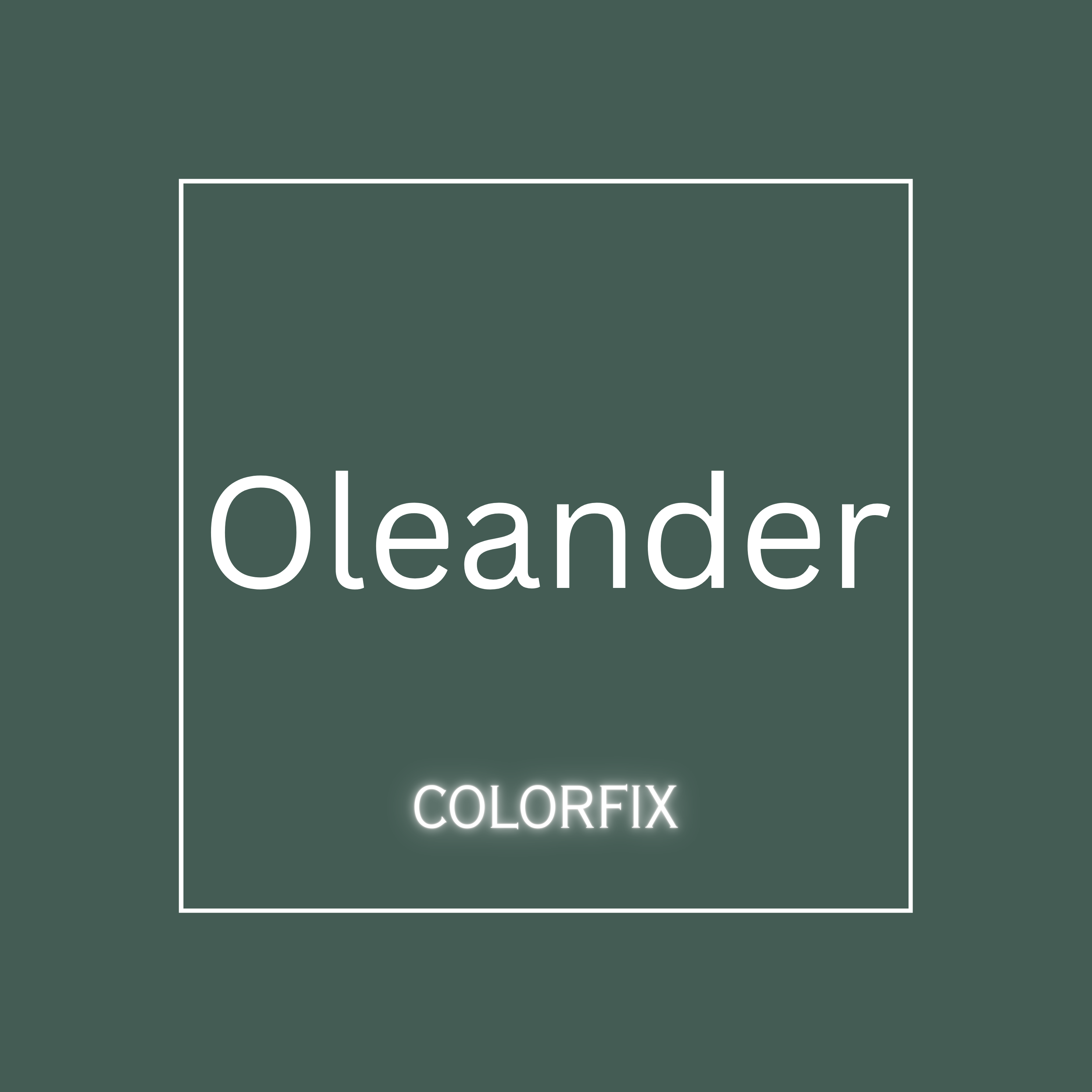 *NEW* Oleander ColorFix Paint - 4oz